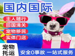 北京首都机场邮寄国际宠物托运 【国